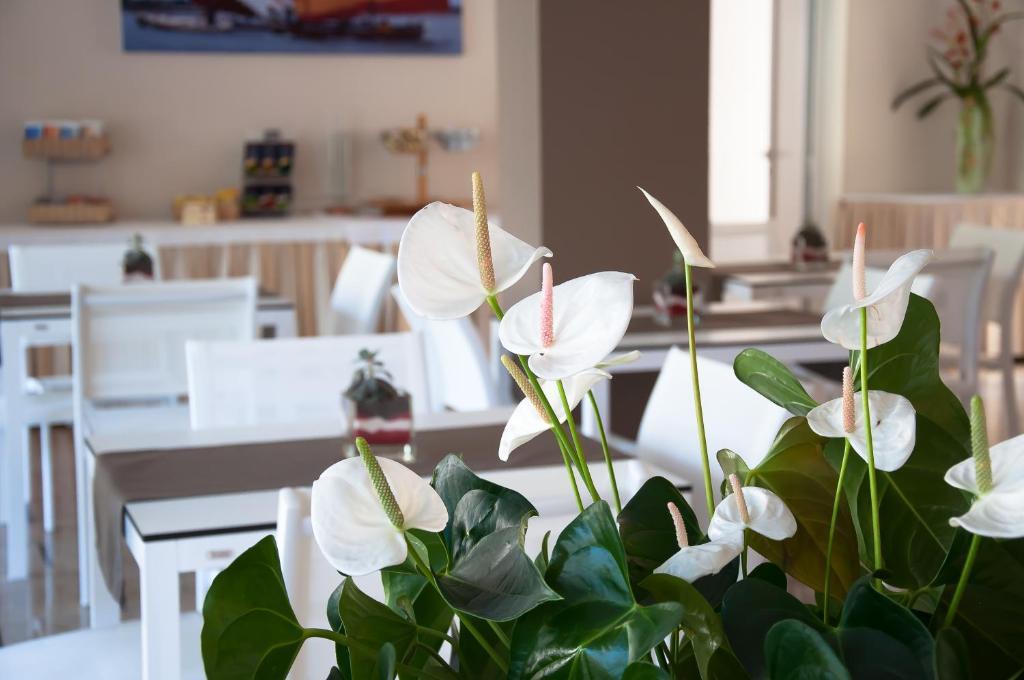Hotel Park Spiaggia Grado Zewnętrze zdjęcie